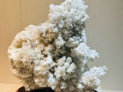-安徽省地质博物馆