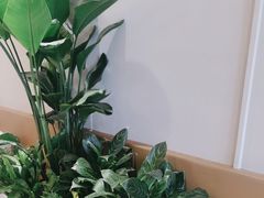 -Peet's 皮爷咖啡(海雅缤纷城店)