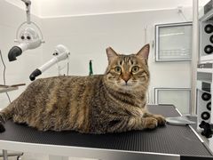 -comecome来吧宠物(奥克斯中心店)