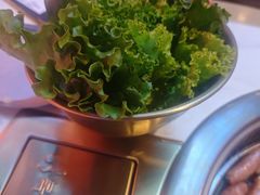 -杨记齐齐哈尔烤肉(总店)