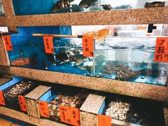 水产区-园林宾馆·鸿运楼(越山路店)