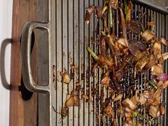 -四季民福烤鸭店(故宫店)