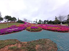 -东莞植物园