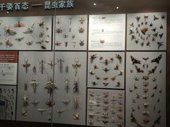 -天津自然博物馆