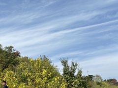 -北京西山国家森林公园