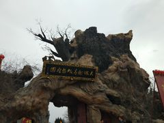 -大槐树寻根祭祖园