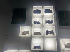 -广东中医药博物馆