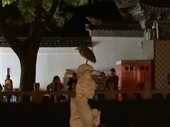 门外的九曲桥-绿波廊(豫园店)