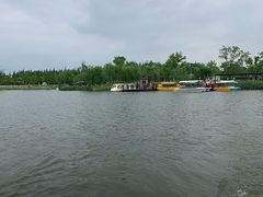 -上海长兴岛郊野公园