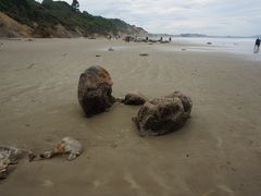 -摩拉基大圆石