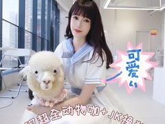 -怪兽屋·羊驼·猫咖·狗咖(俊华广场店)