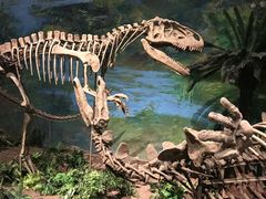 -自贡恐龙博物馆