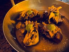 -毛辣果·酸(OHA复兴西路店)