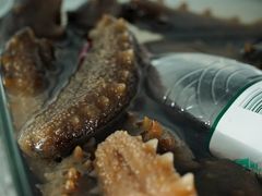 -棒棰岛辽参(长宁旗舰店)
