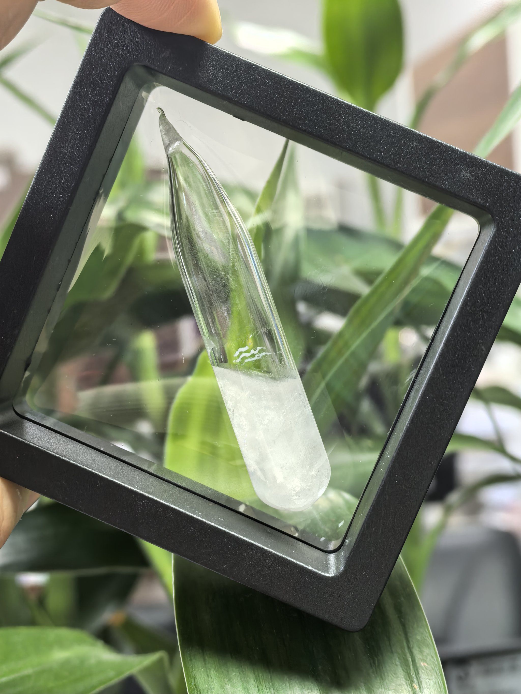 二甲基亚砜在冬天的浪漫