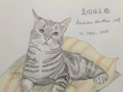 -鼎画艺术机构(贵都店)