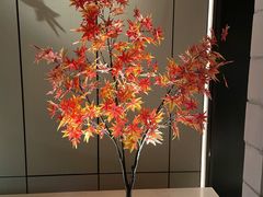 -深圳滨河时代ICON LAB艾垦酒店