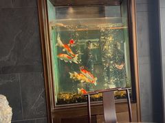 -浩运·海鲜青岛菜·海胆水饺(石老人店)
