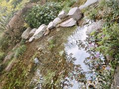 -杭州半山国家森林公园