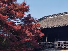 -何园
