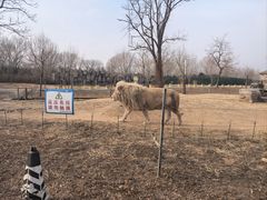 -秦皇岛野生动物园