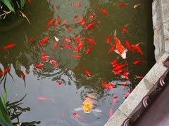 -聚缘堂·海鲜私房菜(松岭路店)