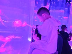 -海合安武汉极地海洋公园