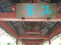 -重庆彩云湖湿地公园