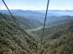 -王顺山国家森林公园