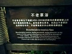 -汉拿山温泉度假酒店