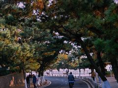 -八大关景区
