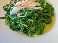 豌豆苗-江南雅厨(李公堤店)