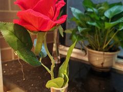 -安德烈俄式西餐厅(中央大街店)