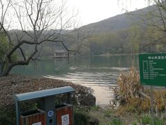 -紫霞湖公园