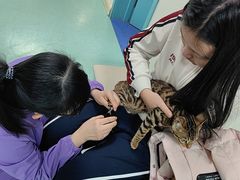 -北京观赏动物医院·24小时大型综合·猫专科·异宠专科