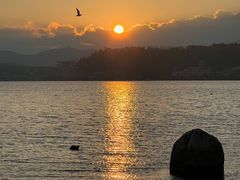 -洱海月湿地公园