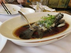 -骏莱海鲜鱼港(五角场店)