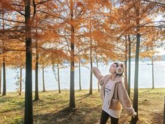 -上海海湾国家森林公园