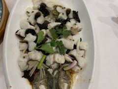 特色蒸桂花鱼-顺德人家食府(黄金广场店)