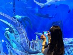 -哈尔滨波塞冬海底世界