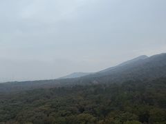 -南京东郊国宾馆