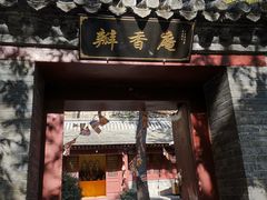 -北京上方山国家森林公园