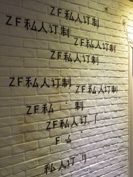 -Z.F私人订制