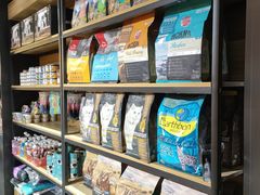 -欣宠猫屋·矮脚拿破仑·蓝金金渐层