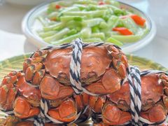 -蟹天蟹地农家菜·阳澄湖大闸蟹(浅水湾店)