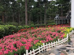 -黑龙江省森林植物园