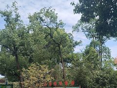 -南山植物园