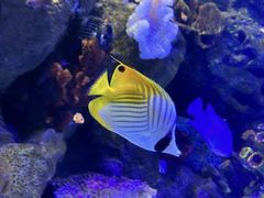 -沈阳海洋探索中心