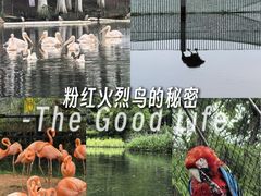 -武汉动物园