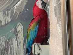 -石家庄市动物园